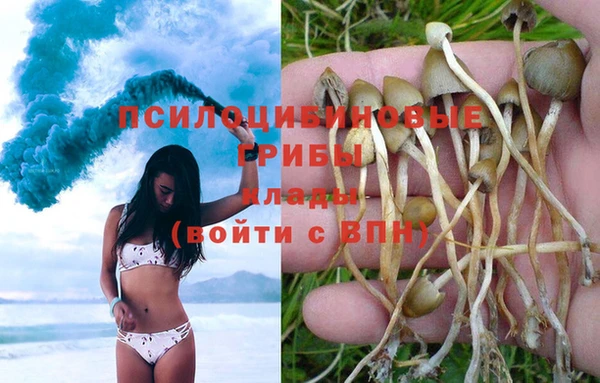 гидропоника Богородск