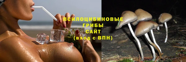 гидропоника Богородск