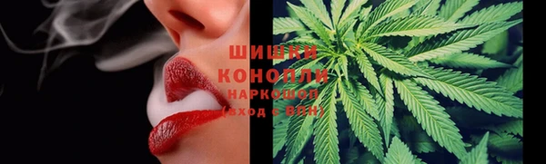 apvp Богородицк