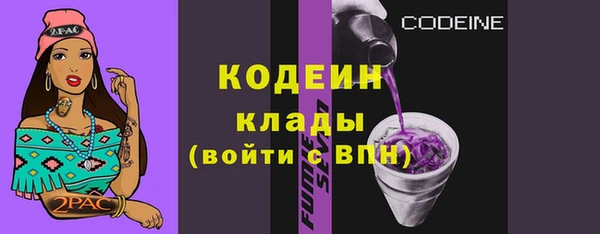apvp Богородицк