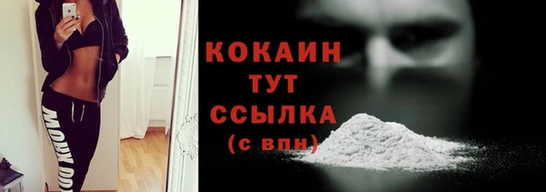 apvp Богородицк