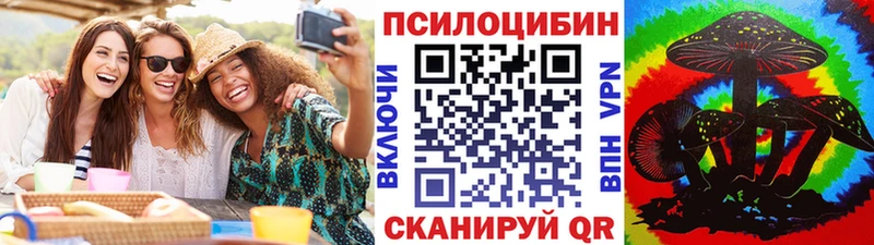 Купить  Богородицк  Псилоцибиновые грибы мицелий 
